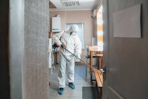  Cobden, IL Mold Removal Pros