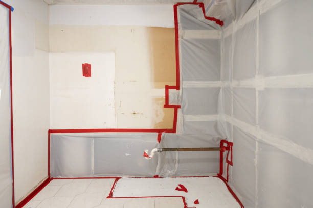 Professional Mold Inspection, Removal & Remediation in Cobden, IL