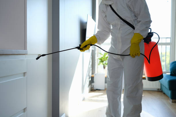 Best Biohazard Mold Removal  in Cobden, IL